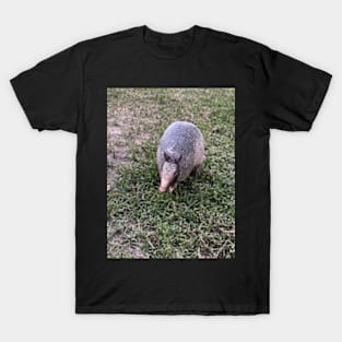 Armadillo T-Shirt